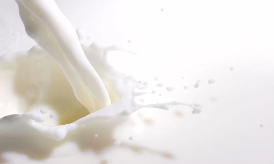 Producción nacional de leche cruda sigue cayendo a octubre