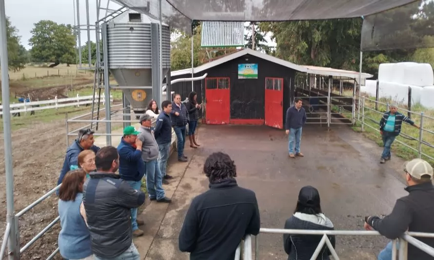Agricultores de Los Ríos conocen medidas para mejorar producción lechera 