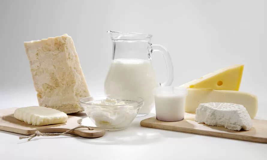 Exportaciones de productos lácteos iniciaron el 2023 a la baja