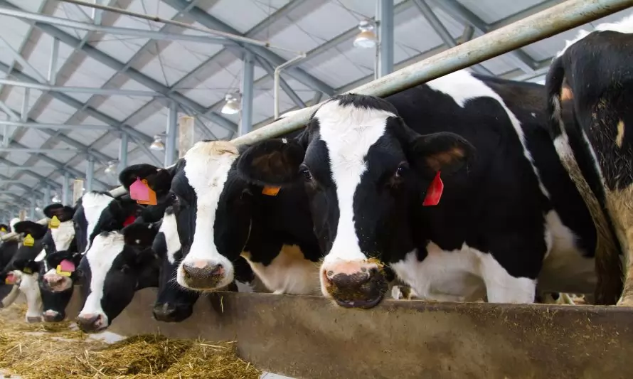 Producción regional de leche cruda inicia 2023 con resultado mixto
