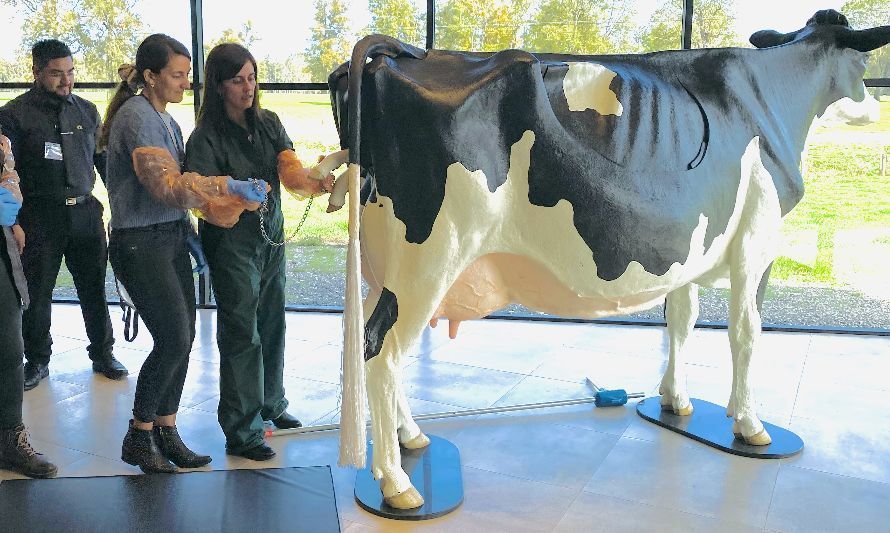 Inauguran edificio y primera vaca modular a escala real en Chile 