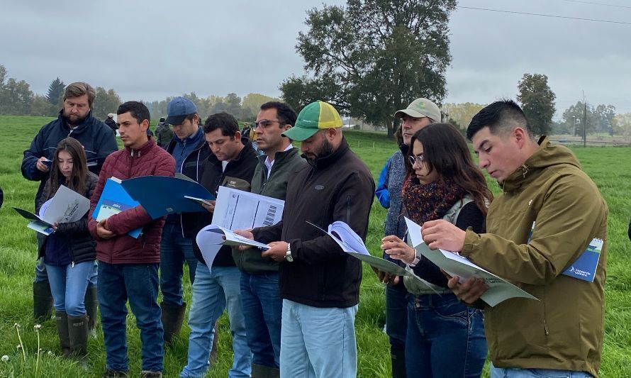 El día de campo se realizó en Agrícola Santa Paulina en Río Negro. Crédito: Cedida.