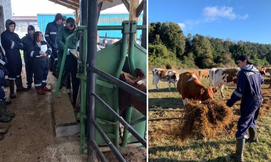 Buscan generar más oportunidades para alumnos de educación técnico-profesional agraria