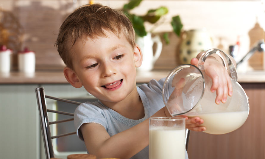 Celebrarán Día Mundial de la Leche en Osorno