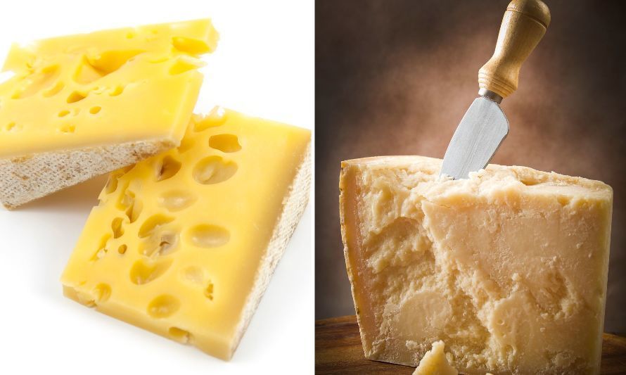 "Gruyère" y "Parmesano": Acuerdo de Asociación Chile – Unión Europea trae cambios para producción chilena