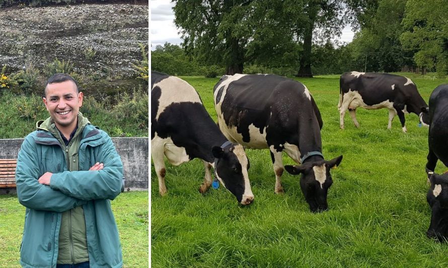 Postparto y su efecto en la productividad durante lactancia en vacas lecheras 