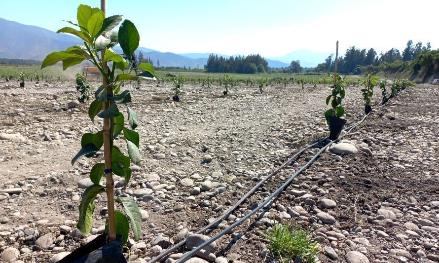 Expertos llaman a aprovechar meses de invierno para realizar mantenciones en la infraestructura de riego agrícola