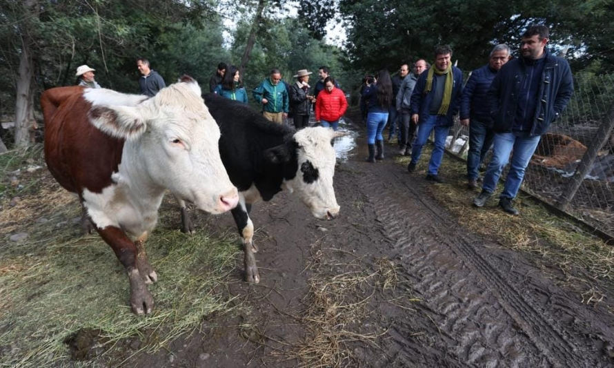 Llaman a agricultores afectados por lluvias e inundaciones a denunciar siniestros 