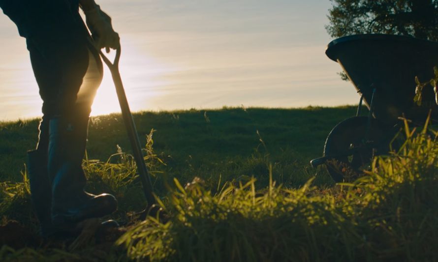 Nestlé Chile lanza campaña enfocada en la agricultura regenerativa