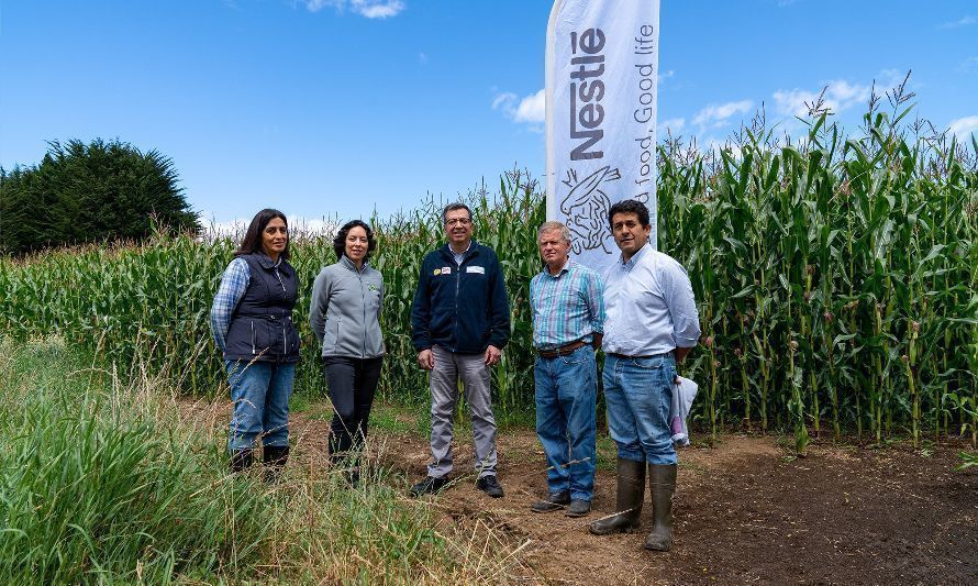Nestlé Chile destaca aporte de INIA a su modelo de Agricultura Regenerativa