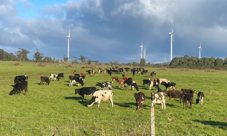 Urgente impulso a la productividad, seguridad y mejoras en la conectividad rural