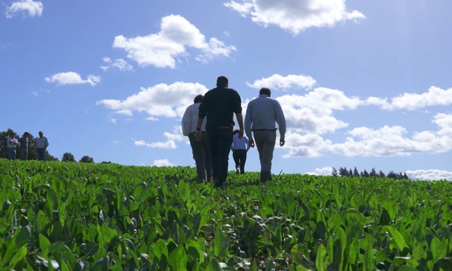 Las innovaciones que están transformando la agricultura