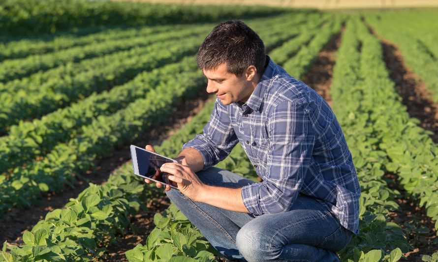 Startups serán parte del Congreso y Feria Internacional de Innovación y Tecnologías en Agroalimentos