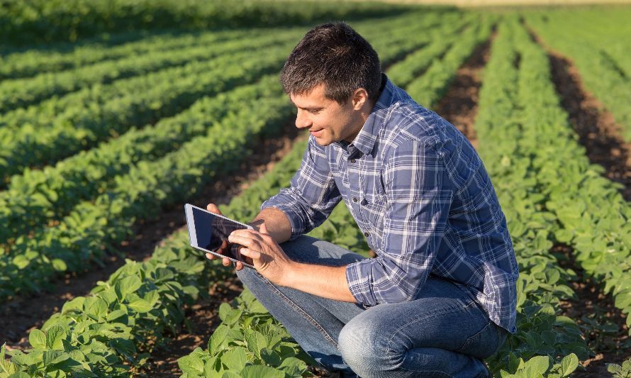 Startups Agtech presentarán casos de éxito en conferencia CfiAgrotech 2023