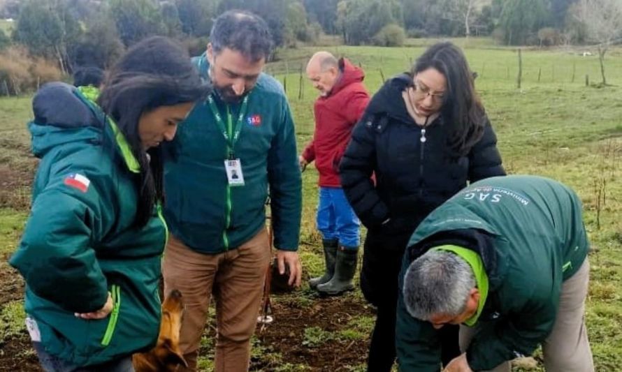 Valoran aprobación de recursos para el manejo del gusano blanco 