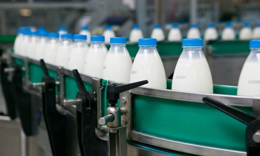 Exportaciones de lácteos acumulan baja de 13,5% al tercer trintres del año