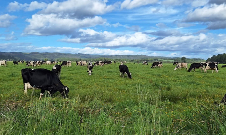 Fedeleche constata conservación de los ecosistemas y protección de la biodiversidad en predios lecheros