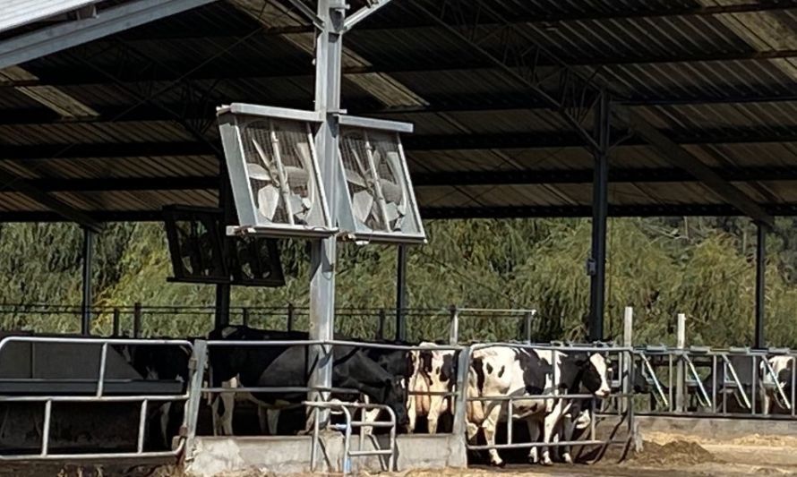 Ventiladores y alarma por celular para controlar estrés calórico en vacas lecheras
