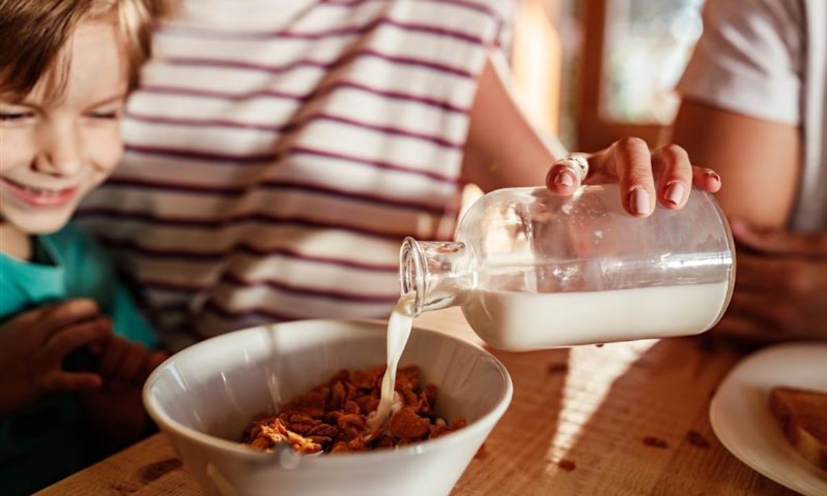 Regreso a clases: Lácteos destacan para colaciones saludables