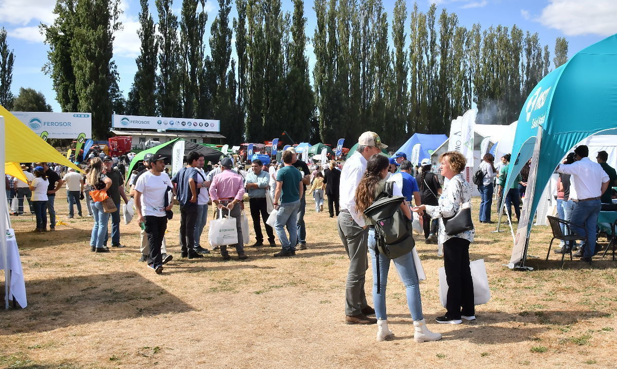 Empresas mostraron servicios, tecnología y maquinaria en nueva versión de Expo Ferosor