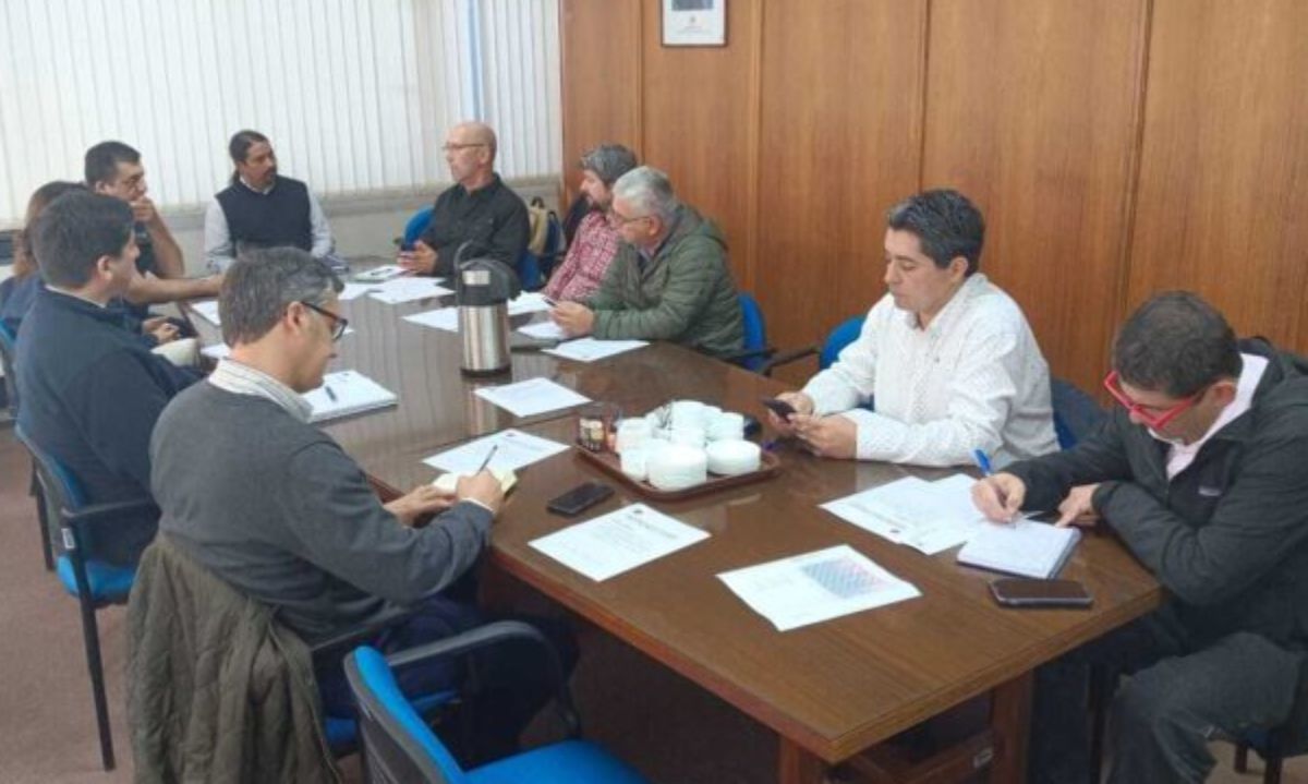 Se constituye primera Mesa Regional de Agroseguros presidida por el Seremi de Agricultura de La Araucanía