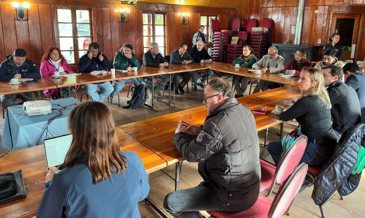 Aproleche Osorno y autoridades regionales abordan crisis por ataques de perros asilvestrados