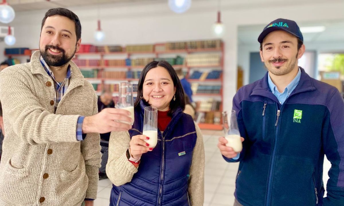Científicos estudian preferencias de consumidores en 5 tipos de leche 
