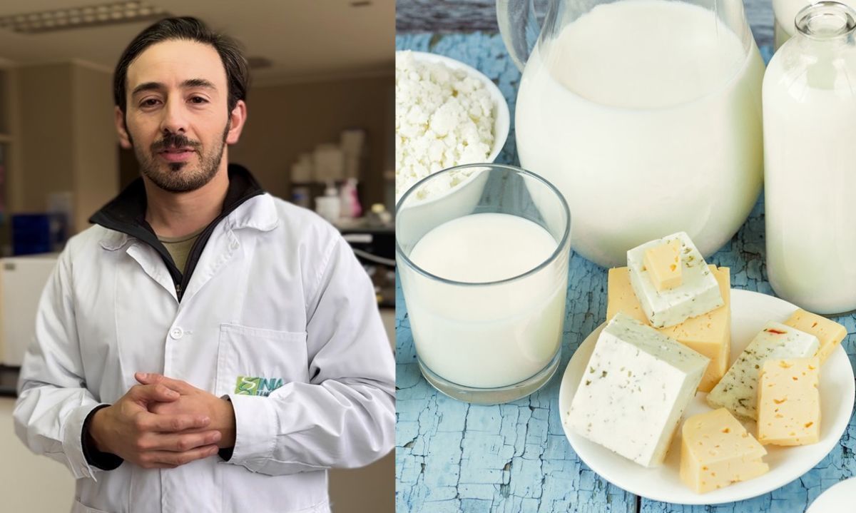 La inocuidad alimentaria en Chile, resultados recientes y desafíos futuros