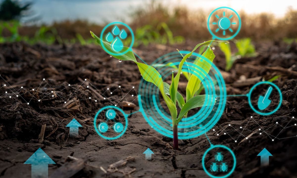 Invitan a jornadas de innovación del agro en Los Ríos