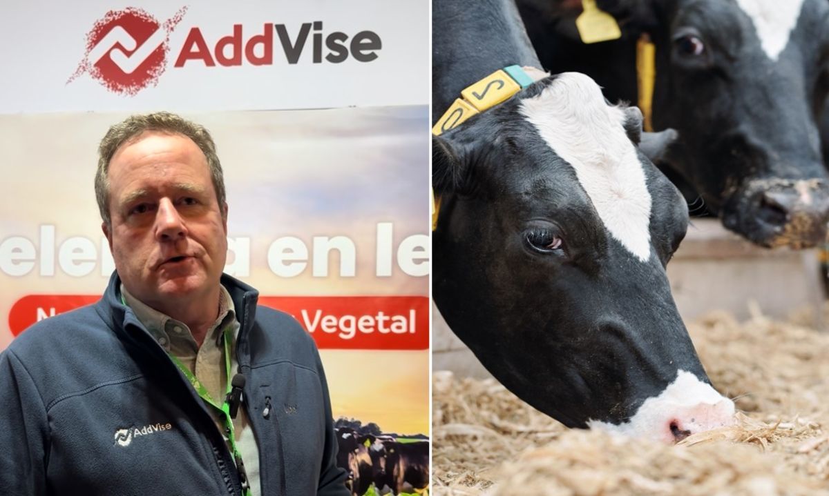 AddVise presentó su oferta de productos buscando siempre el mayor retorno sobre la inversión