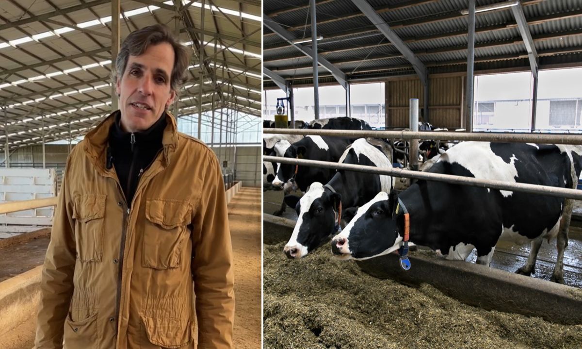 Asesor en nutrición de vacas lecheras Fernando Bargo entrega 3 consejos para utilizar mejor el forraje 