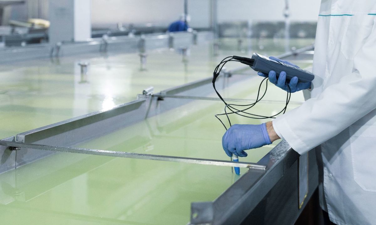 Recepción de leche cierra con cifras positivas el primer semestre de 2024