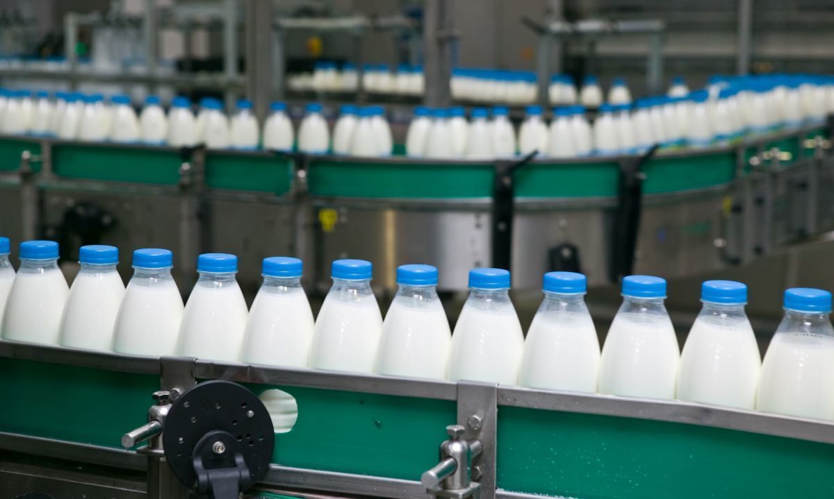 La producción de leche cruda subió 1,8% en el primer semestre