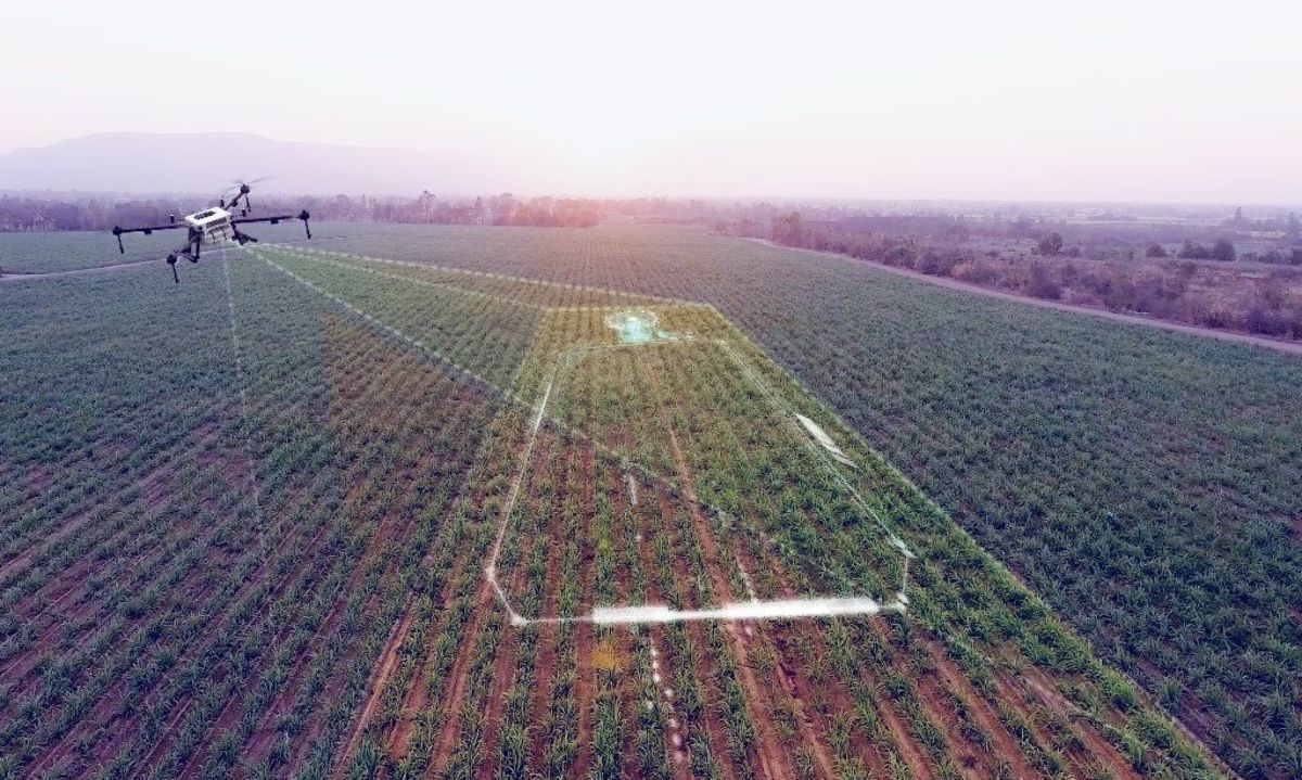Día Mundial de la Agricultura cobra especial importancia en el marco de los 70 años de Agronomía UdeC