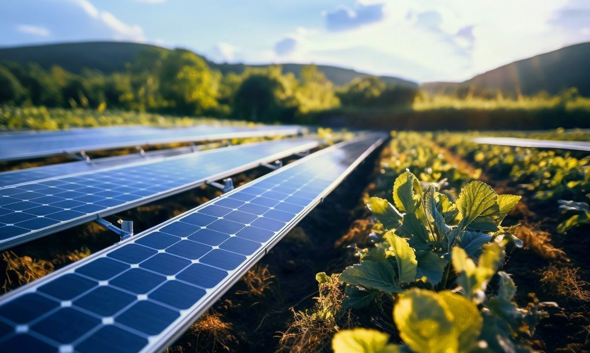 Expo Chile Agrícola dará protagonismo a las energías limpias