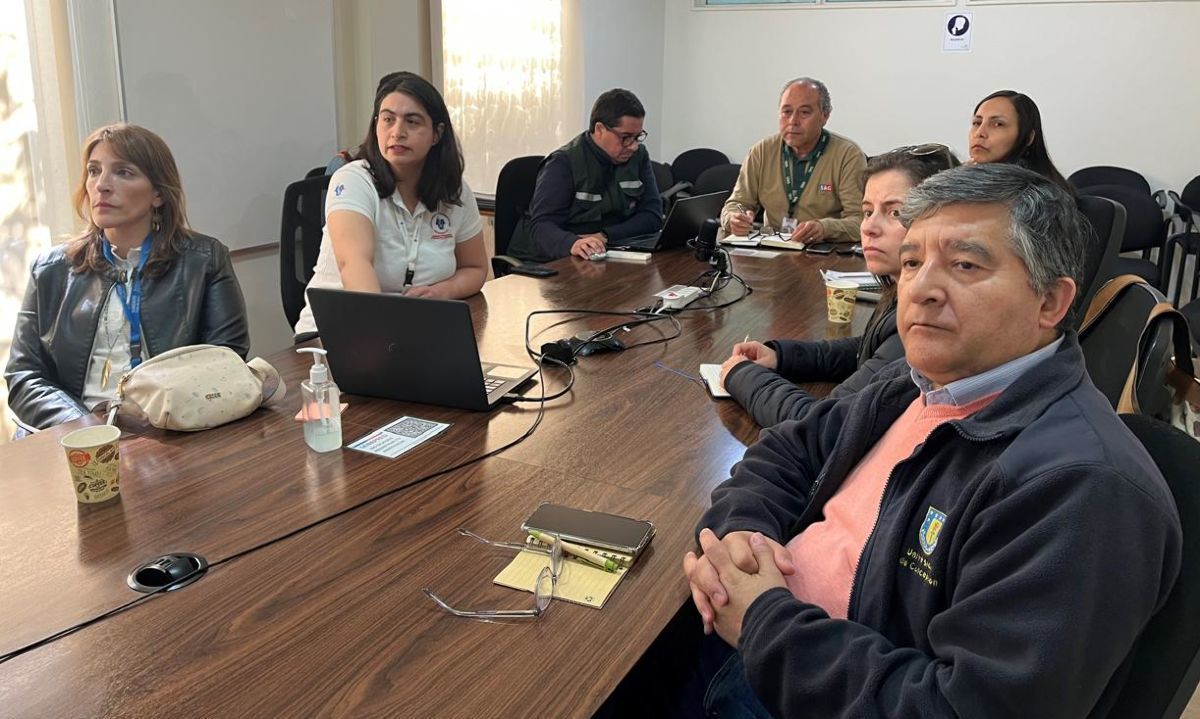 Mesa dimensión animal de Biobío trabaja líneas de acción ante eventuales incendios forestales