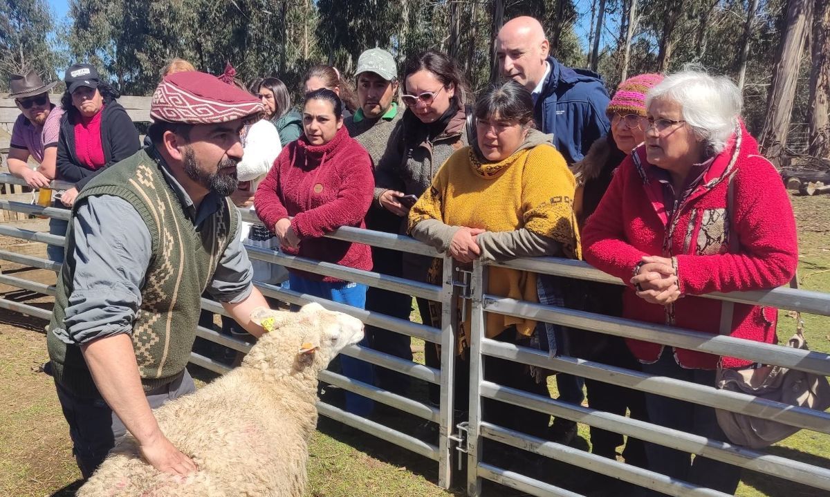 Agricultores de Los Ríos avanzan en adaptación al cambio climático