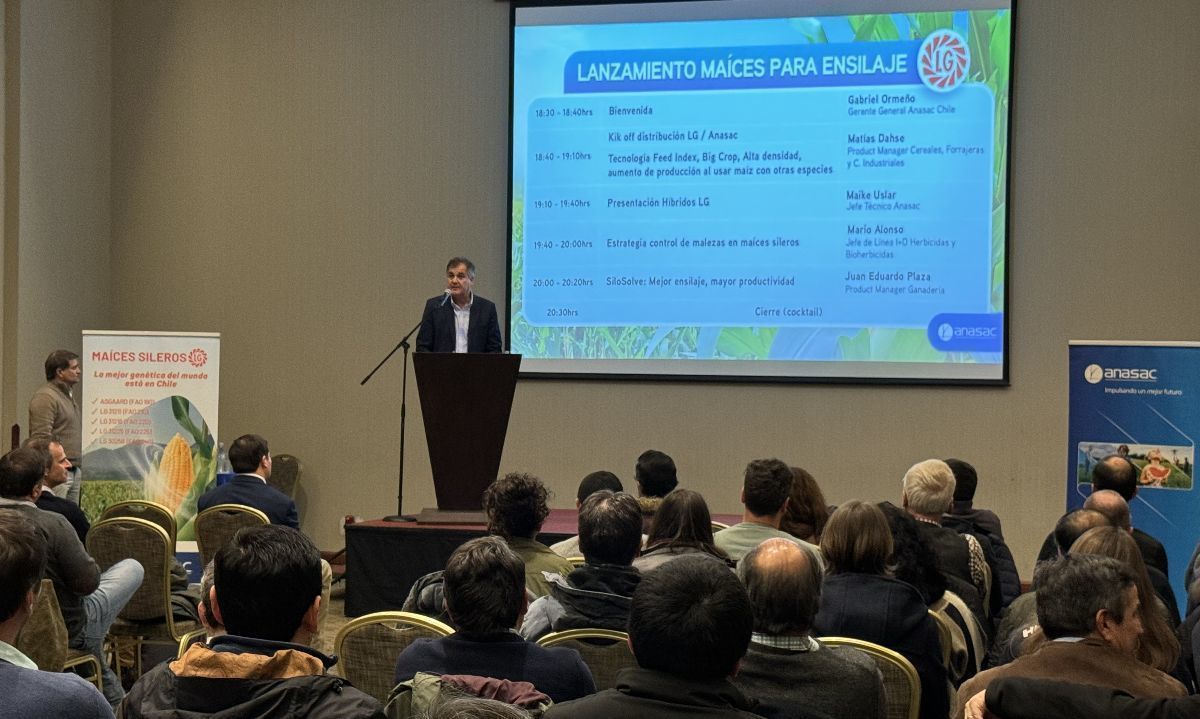 Anasac lanzó al mercado nueva distribución exclusiva: semillas de maíces para ensilaje Limagrain
