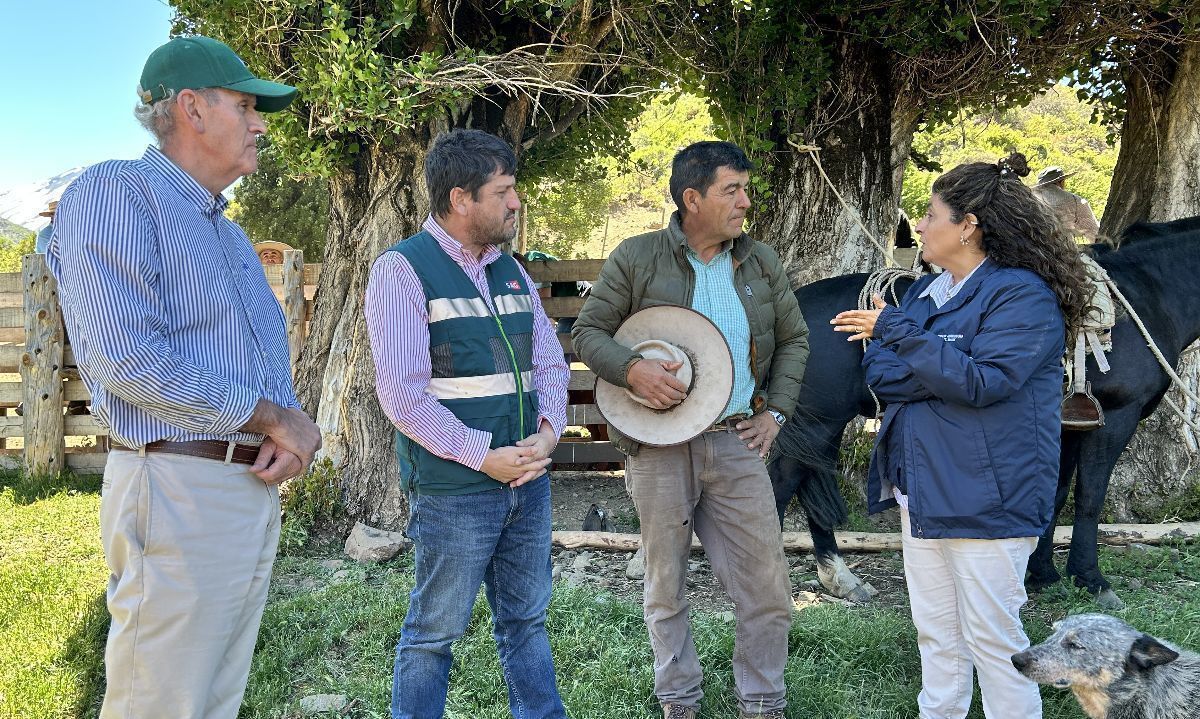 Autoridades verifican normal funcionamiento de veranadas