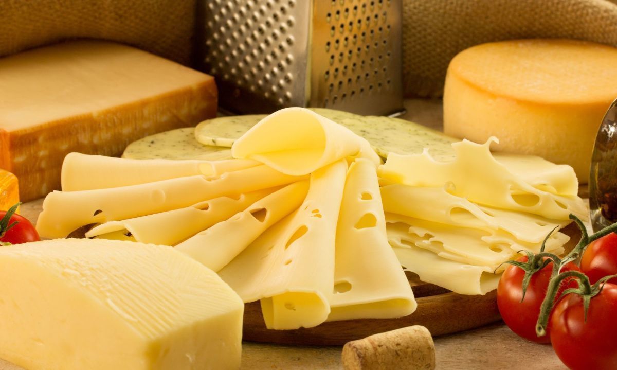 Estudio chileno premiado en París destaca al queso como protector frente a la obesidad