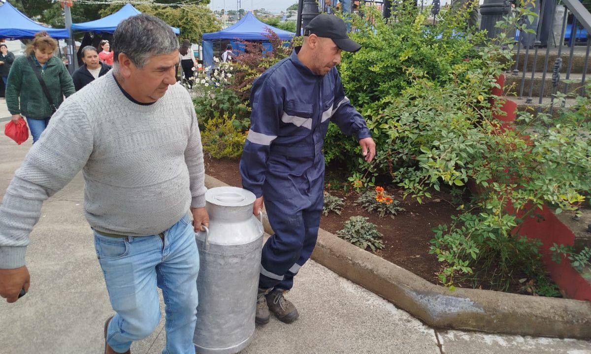 En la plaza de armas de Ancud los productores regalaron 800 litros de leche a los vecinos que llegaron hasta el lugar. Crédito: cedida.