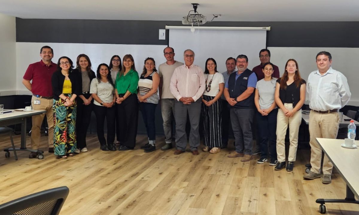 Cooperativas del Sur capacita a académicos y profesionales para formar líderes cooperativos