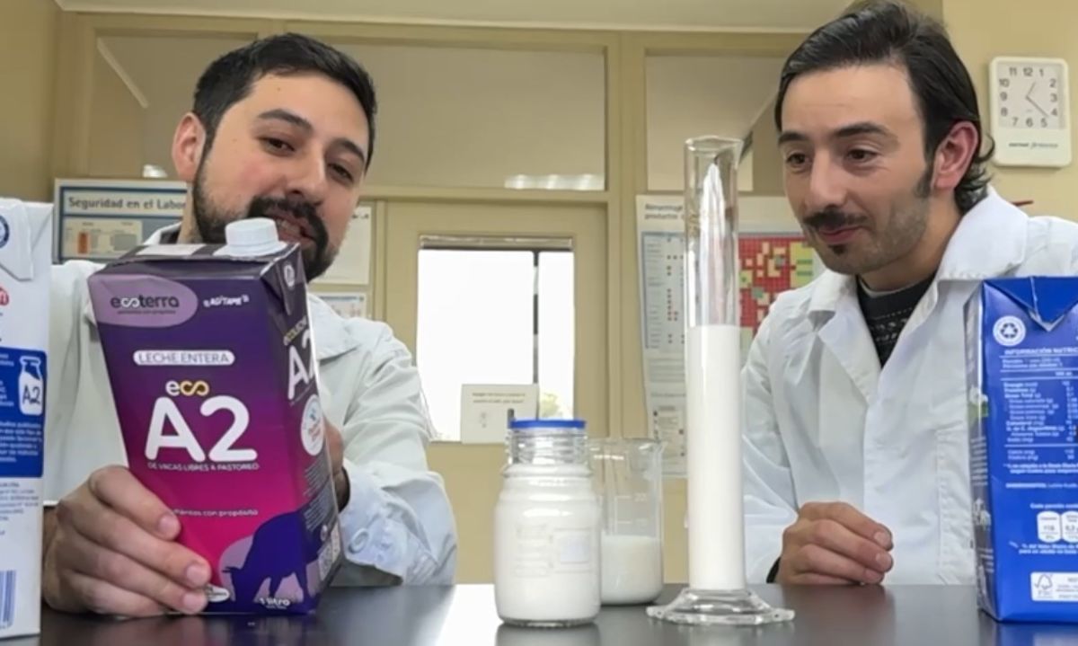 Proyectos de investigación y desarrollo que están marcando pauta en el sector lechero del sur de Chile