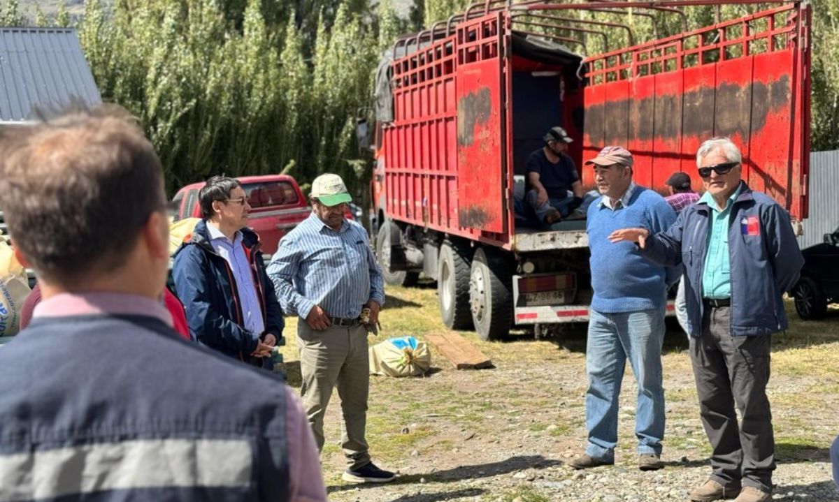 Río Ibáñez: Productores caprinos son beneficiados con programa de Agricultura