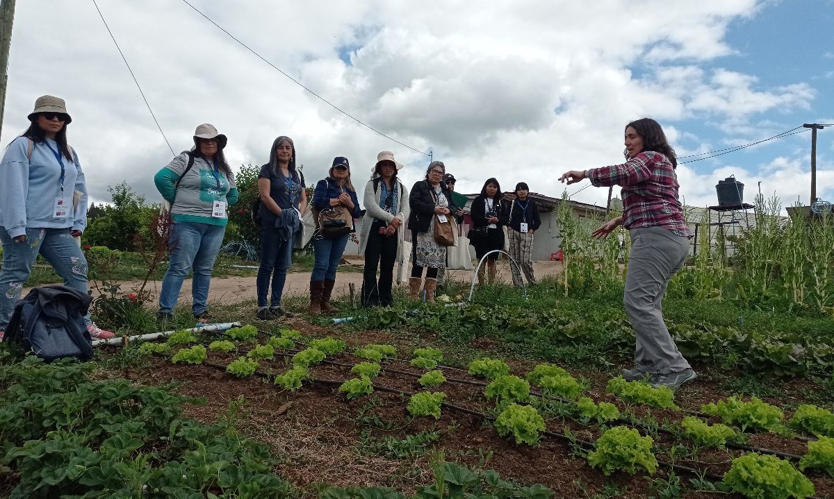 Lanzan inédito curso online dirigido a mujeres profesionales del sector agrícola