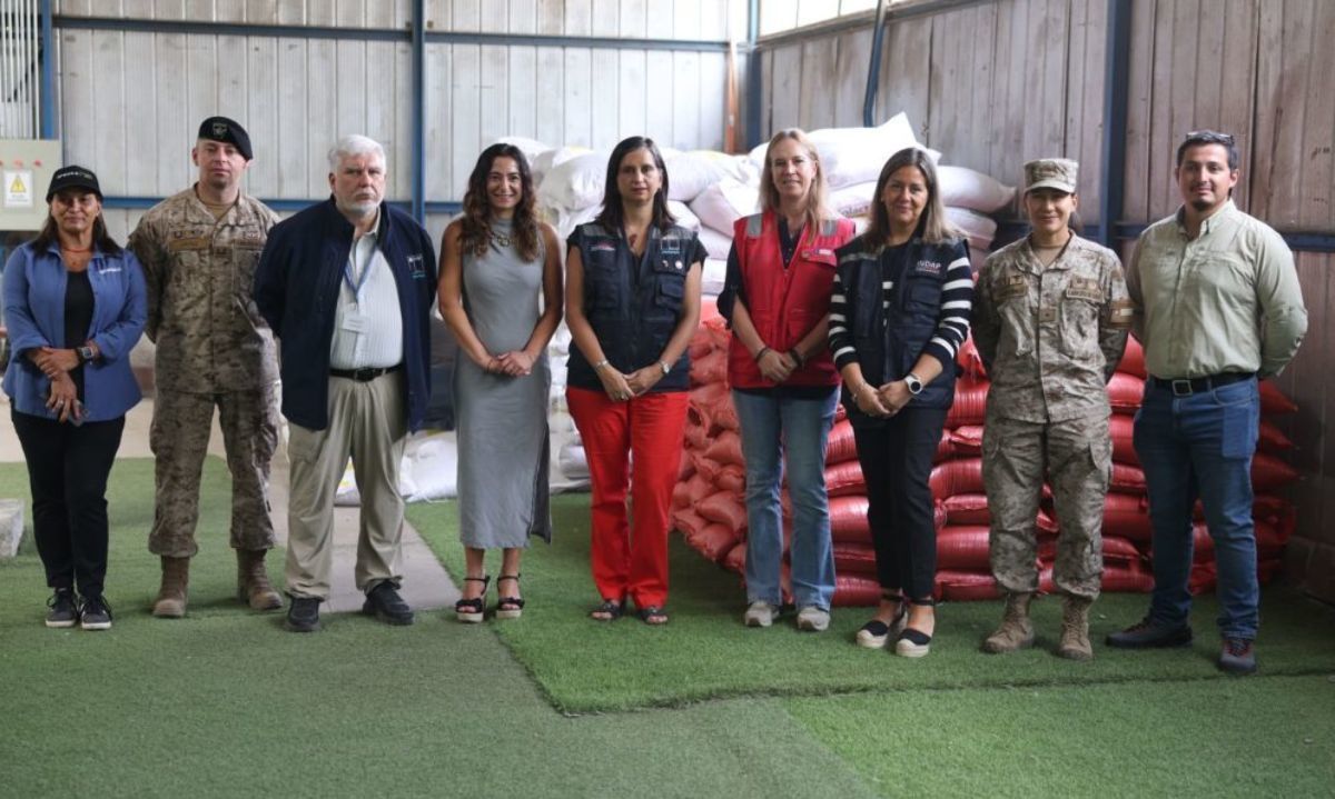 Sector público-privado entrega más de 27 toneladas de alimento animal en apoyo a agricultores afectados por incendios en Ñuble