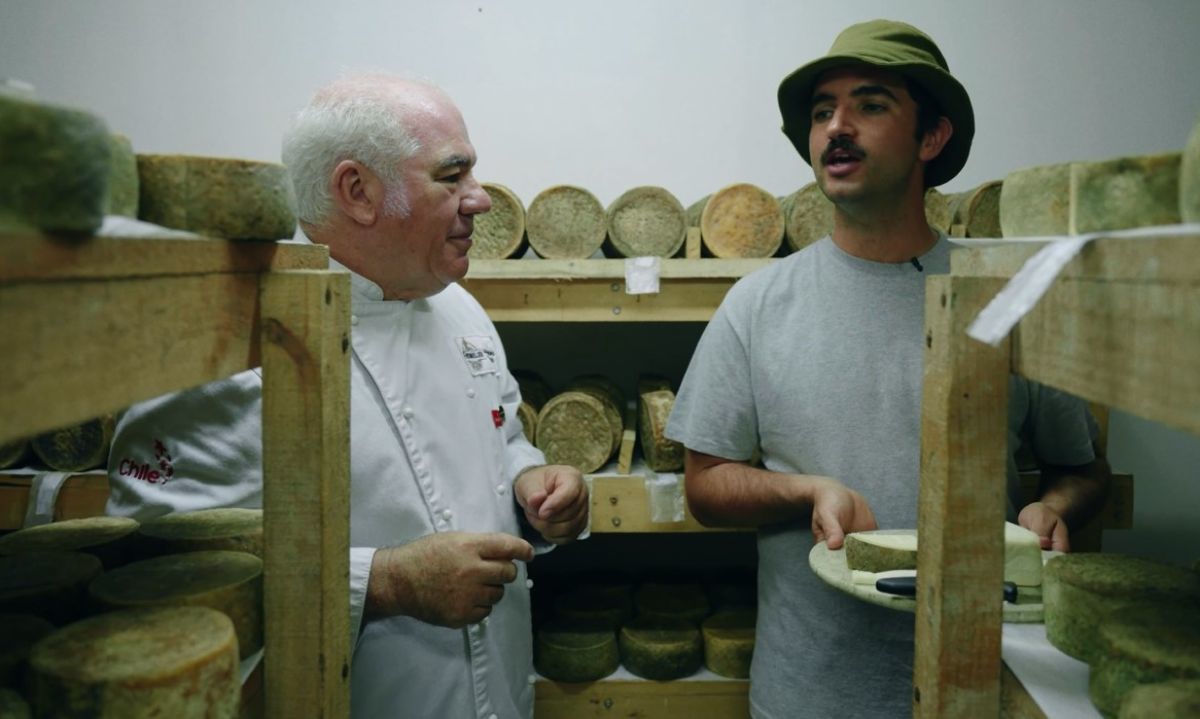 Conoce las bondades y la elaboración de un queso artesano único de leche de cabra del Valle de Colchagua