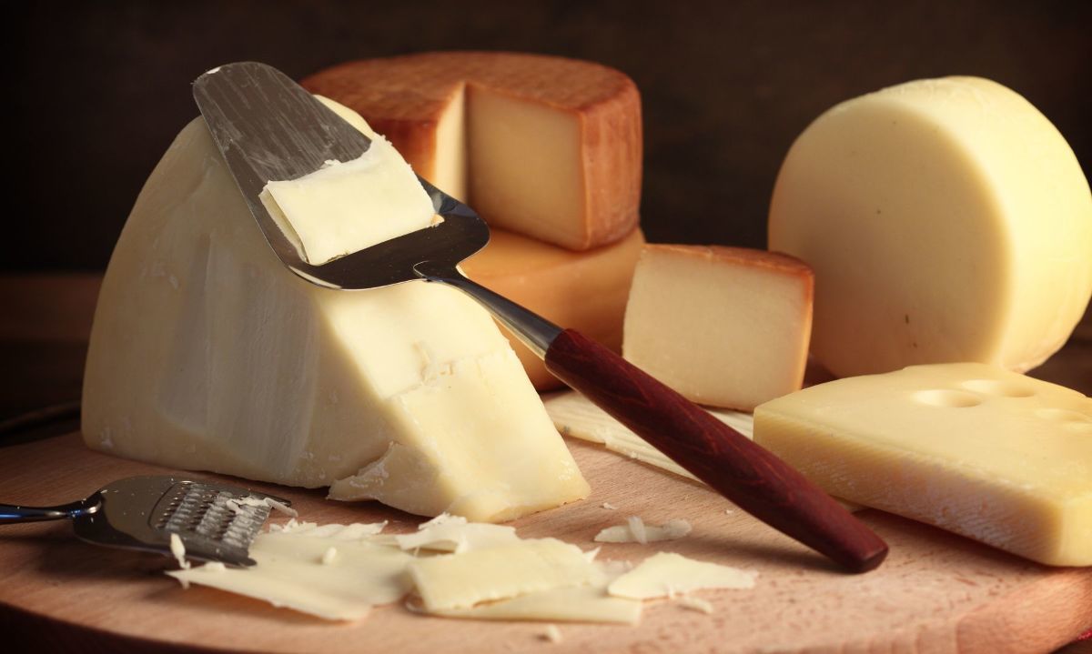 Día Mundial del Queso, más de 2 mil variedades en el mundo
