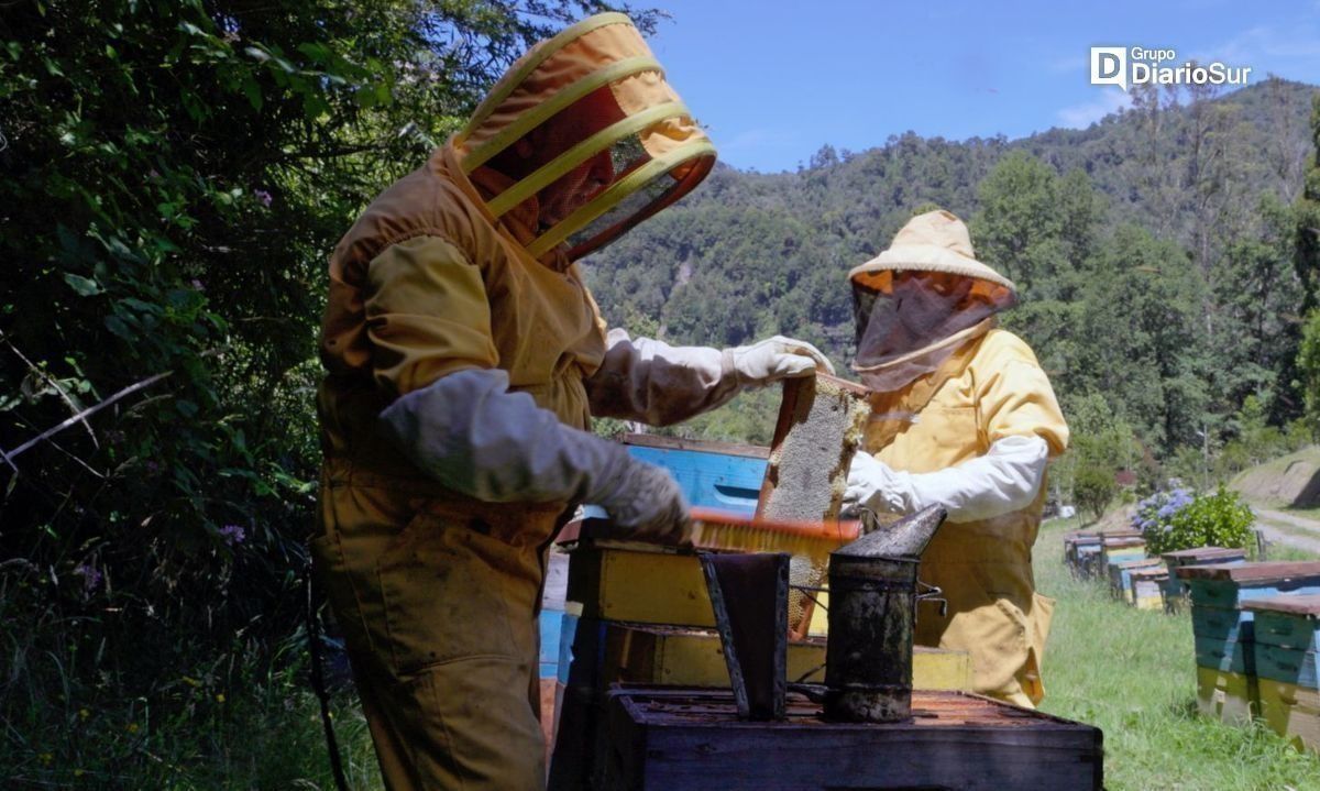 Estrenan serie de TV sobre innovación agroalimentaria en Región de Los Ríos