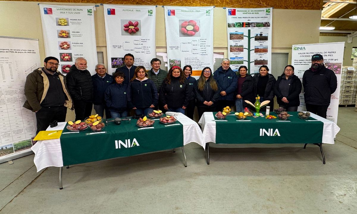 Carlos Furche: "INIA Remehue está a la vanguardia en sustentabilidad agrícola y pecuaria” 